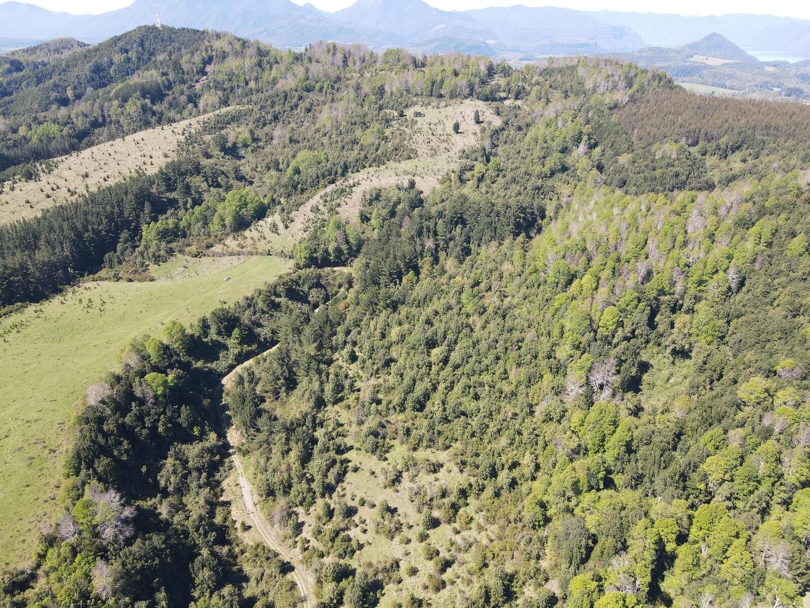 Masterplan 360° de Mirador de Villarrica
